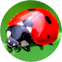 Jeannette Kitty profile picture